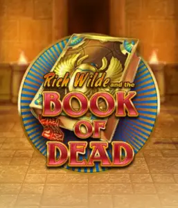 Dive into the thrilling world of Book of Dead by Play'n GO, featuring vivid graphics of Rich Wilde's journey through ancient Egyptian tombs and artifacts. Find lost riches with engaging mechanics like free spins, expanding icons, and a gamble option. Ideal for those seeking adventure with a desire for exciting finds.